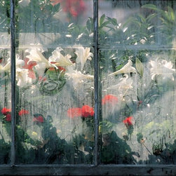 Fine art photography Wallscapes for sale - Products