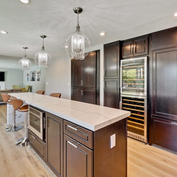 Full Kitchen and Bathroom Remodel-high end