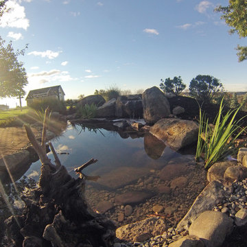 Pond Reconstruction & Remodel