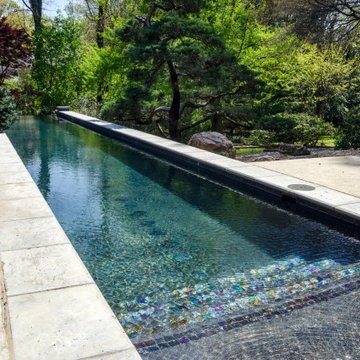 Contemporary-style Lap Pool with Vanishing Edge