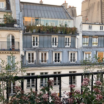 Sur les toits de la rue Saint-Honoré