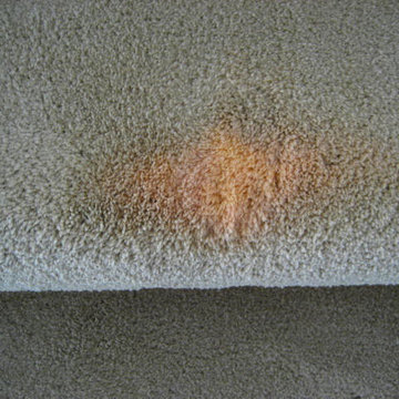 carpet color corrections