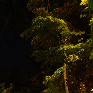 Fairyland Club Illumination - Lookout Mountain, TN
