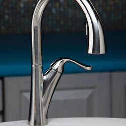 Elkay - ELKAY - Harmony Pull-Down Kitchen Faucet - Kitchen Faucets