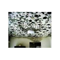 General Practices - Home Decor