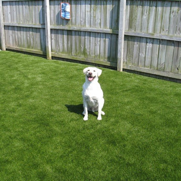 Residential Lawn