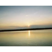 Andrea Smiths foto