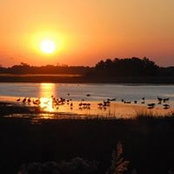 Regina Miskovsky's photo