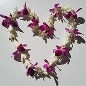 Cathy Simpson's photo