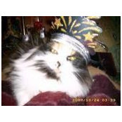 Carolyn Collier's photo
