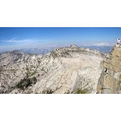 Tim Whitley's photo