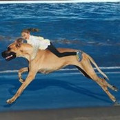 Stefanie Offit's photo