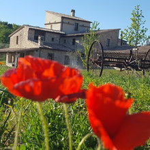 UMBRIA tra Todi e Montefalco