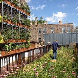 Omni Green Roof - Products