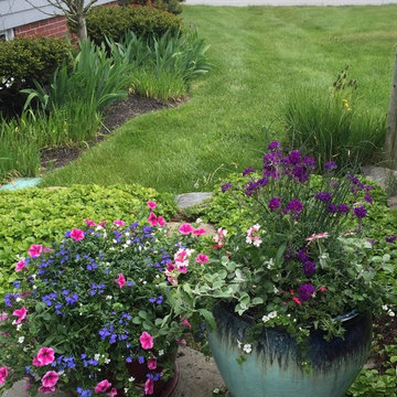 Planters & WIndow Boxes
