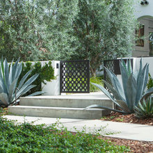 Plants ID'd