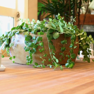 Ceramic Bowl on the Dining Room Table
