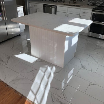 Noristown contemporary kitchen