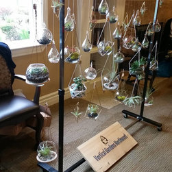 Hanging Pendants - Indoor Pots And Planters