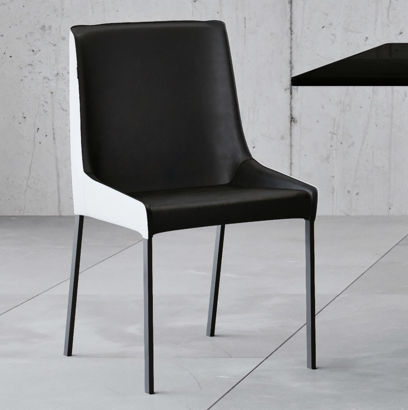 Helena Dining Chair - Black/White - Contemporary - Dining Chairs - by ...