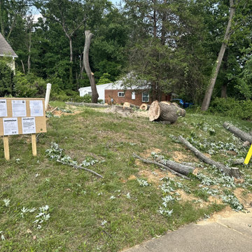 Site Prepration