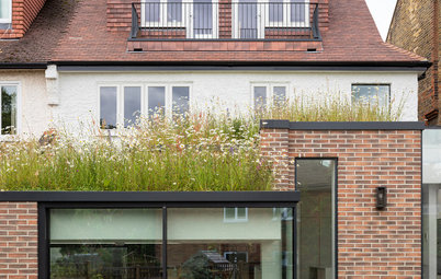 18 Soul-soothing Green Roofs