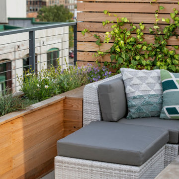 Carroll Gardens, Brooklyn Rooftop I
