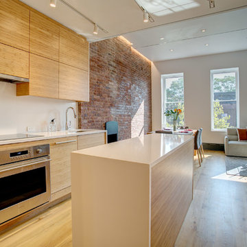 Harlem Full Renovation