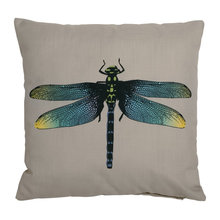 Guest Picks: All That Flutters: Nature-Inspired Ideas for Your Home