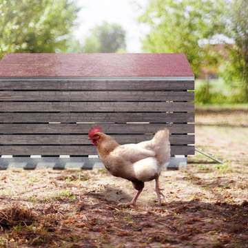 CRAFT-Designed Home Chicken Coops