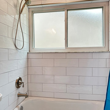 Open Concept Bathroom Remodel, Orlando FL