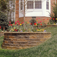 Yard/Landscaping