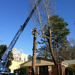 Tree Removal - Outdoor Products