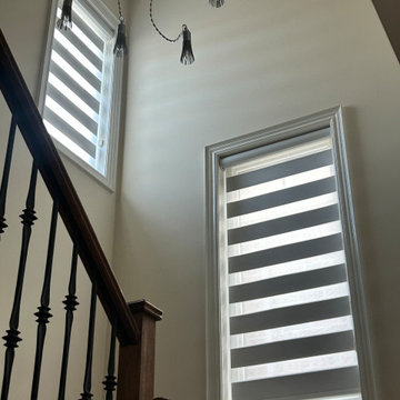 4” Dawn Zebra Blinds