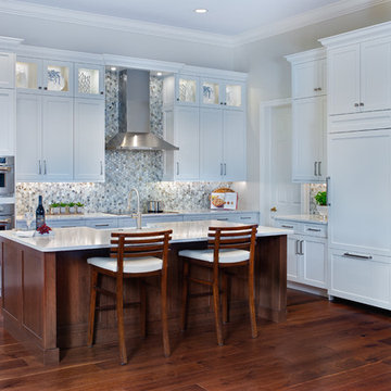 Bonita Springs Transitional Kitchen Remodel