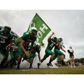 Beau Perkins's photo