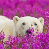 Photo de T Gard