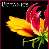 Botanics LLC's photo