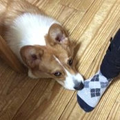 Mayumi Sekiさんの写真