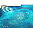 Foto de perfil de PALAUS PHOTOGLASSMOSAIC