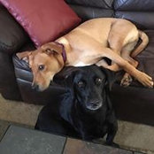 Gordon Craig's photo