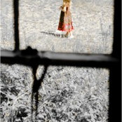 Stuart macdonaldさんの写真