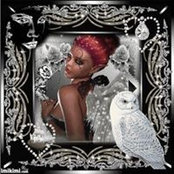 Annie Arkins's photo