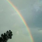 Andrea Jinks's photo