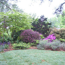 rustic/ecelectic garden ideas