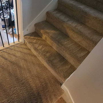 Urine Removal From Stairs in a House Located in Maple Ridge BC Canada