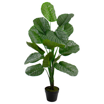 4' Potted Two Tone Green Calathea Artificial Floor Plant