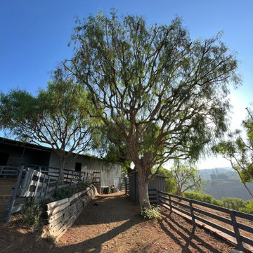 La Habra Heights