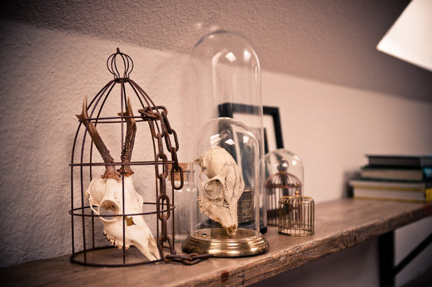 Das große Staunen: Die Rückkehr der Wunderkammern