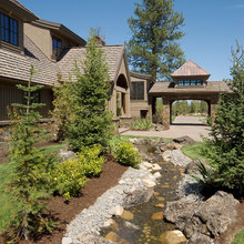 Nest Pine Landscape Ideas